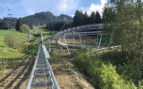 Exklusives Apartment Mit Schwimmbad Im Allgaeu