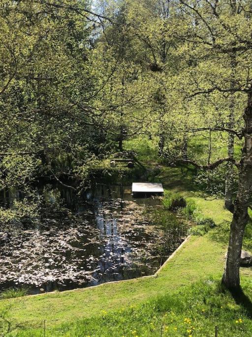 Exklusives Apartment Mit Schwimmbad Im Allgaeu Oy-Mittelberg Buitenkant foto